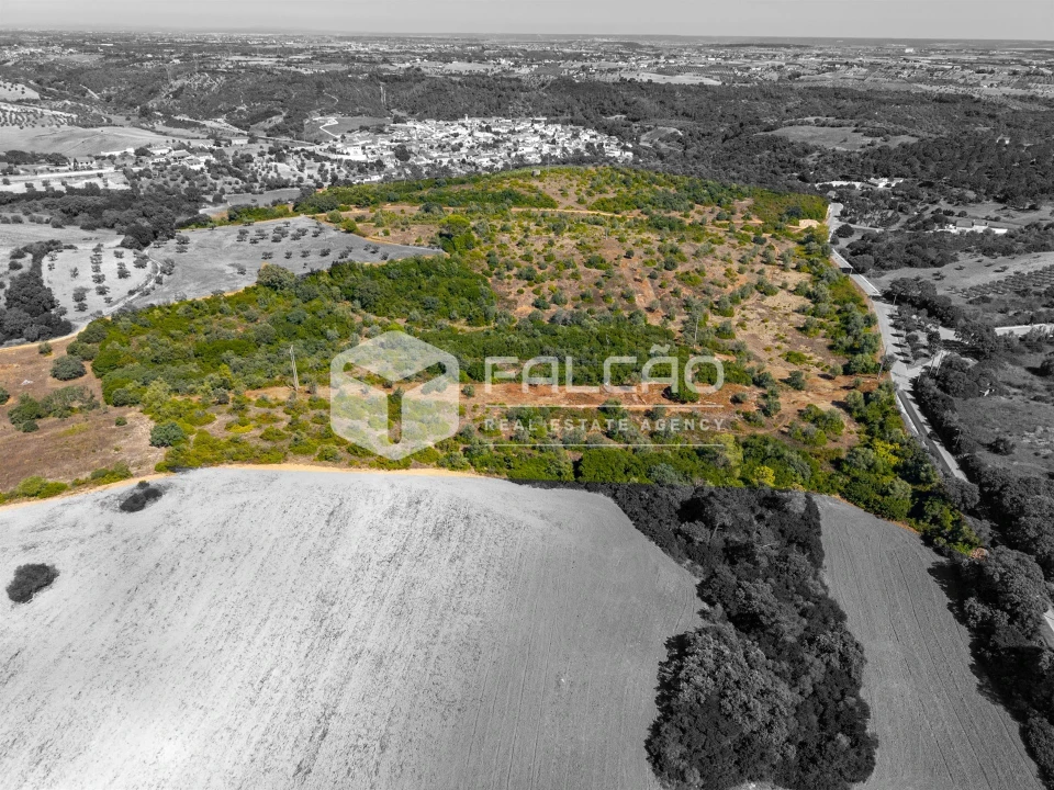 Terreno para Venda em Azoia de Cima e Tremês Foto 1