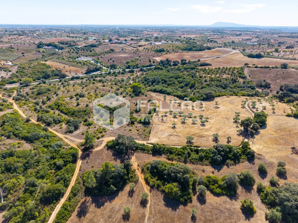 Terreno para Venda em Azoia de Cima e Tremês Foto 15