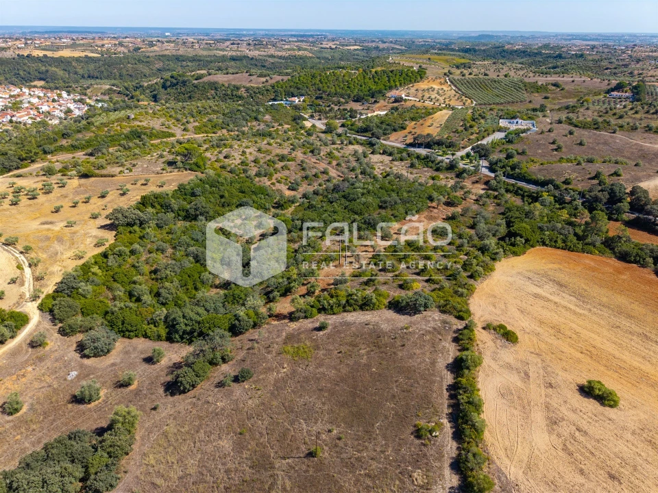 Terreno para Venda em Azoia de Cima e Tremês Foto 11