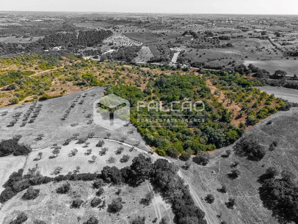 Terreno para Venda em Azoia de Cima e Tremês Foto 12