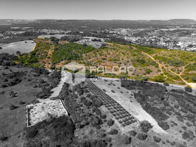 Terreno para Venda em Azoia de Cima e Tremês Foto 22