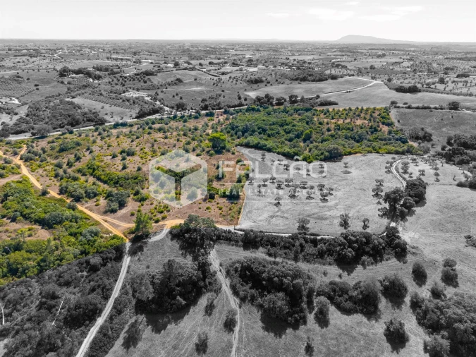 Terreno para Venda em Azoia de Cima e Tremês Foto 14
