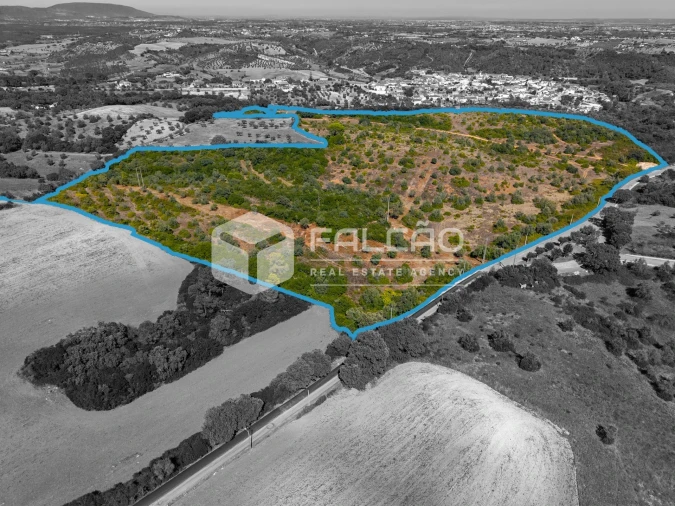 Terreno para Venda em Azoia de Cima e Tremês Foto 6