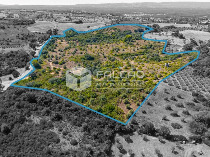 Terreno para Venda em Azoia de Cima e Tremês Foto 16