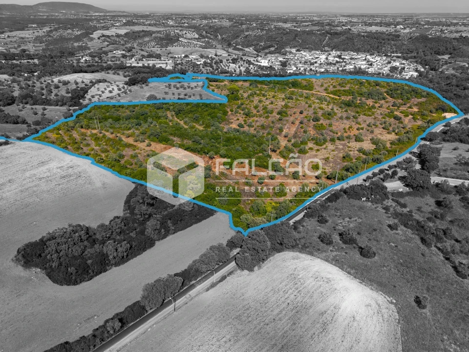 Terreno para Venda em Azoia de Cima e Tremês Foto 6