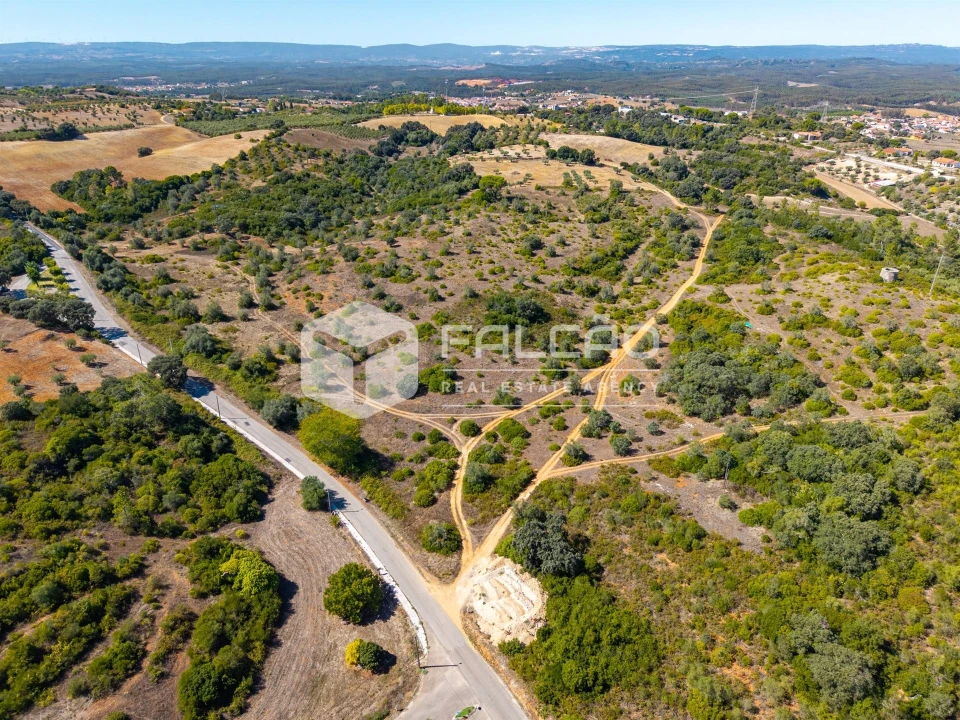 Terreno para Venda em Azoia de Cima e Tremês Foto 19
