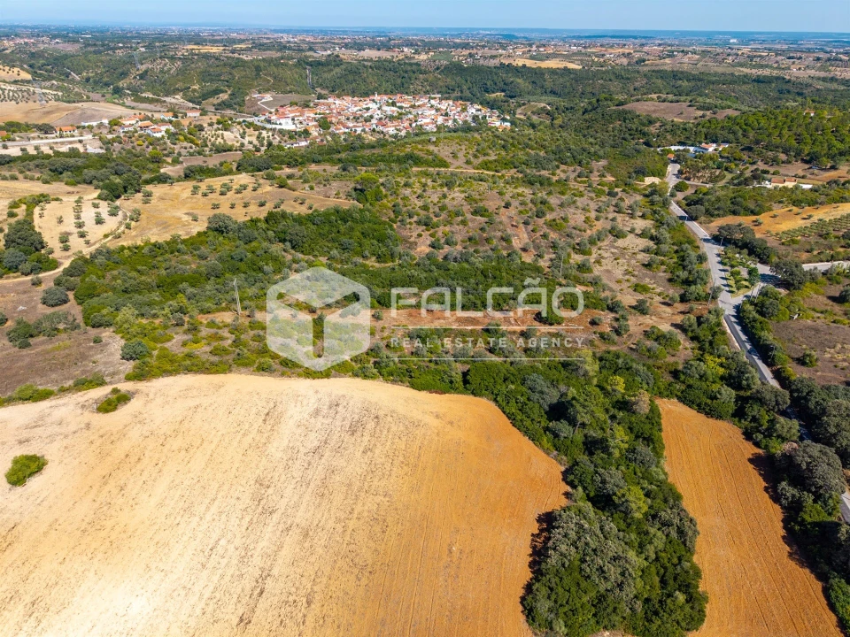 Terreno para Venda em Azoia de Cima e Tremês Foto 9