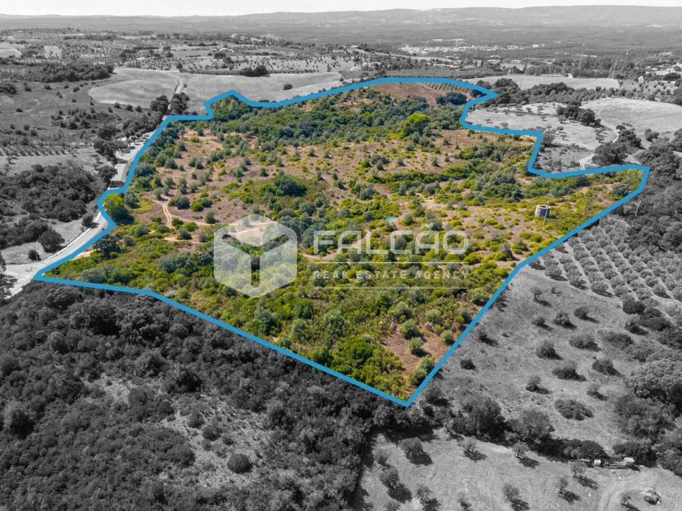 Terreno para Venda em Azoia de Cima e Tremês Foto 16