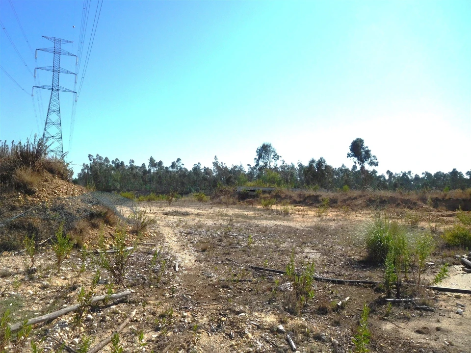 Terreno para Venda em Souto da Carpalhosa e Ortigosa Foto 1