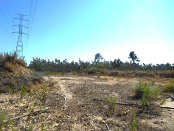 Terreno para Venda em Souto da Carpalhosa e Ortigosa