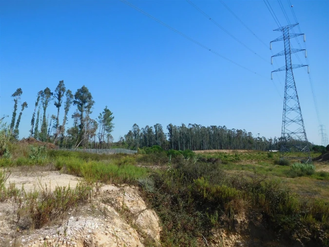 Terreno para Venda em Souto da Carpalhosa e Ortigosa Foto 5