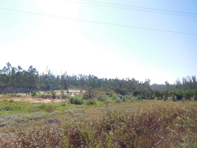 Terreno para Venda em Souto da Carpalhosa e Ortigosa Foto 8