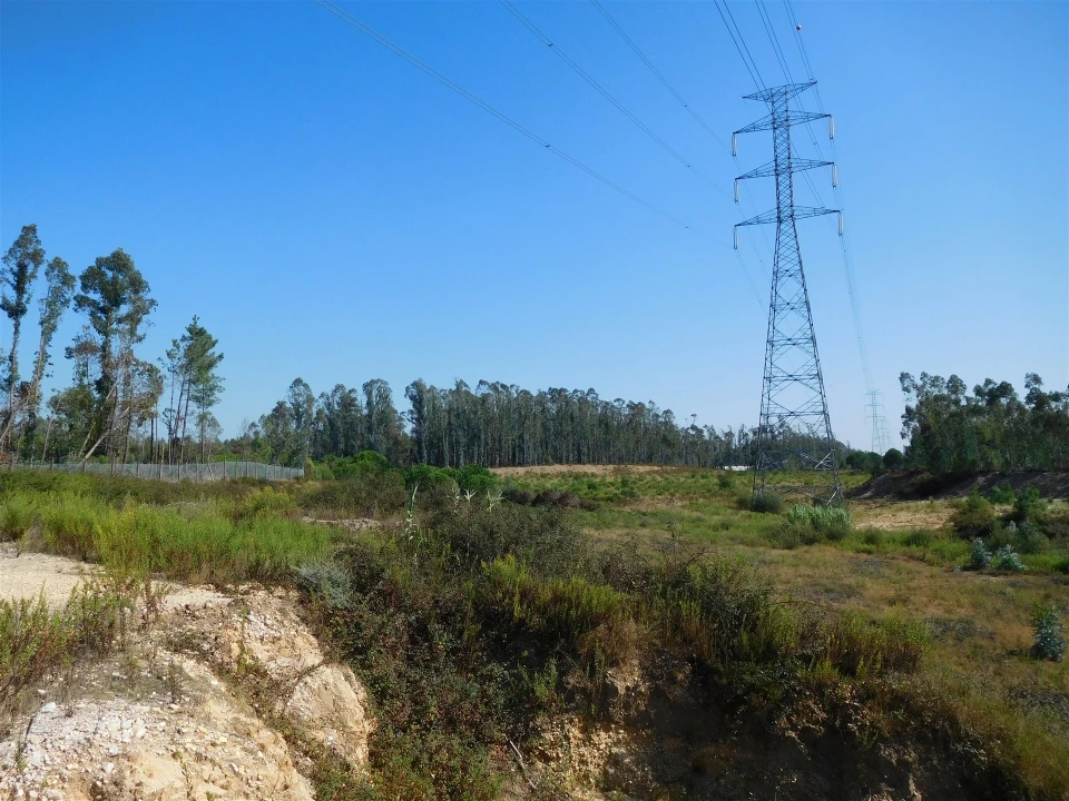 Terreno para Venda em Souto da Carpalhosa e Ortigosa Foto 4