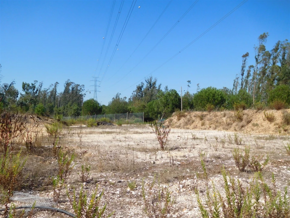 Terreno para Venda em Souto da Carpalhosa e Ortigosa Foto 7