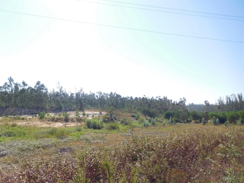 Terreno para Venda em Souto da Carpalhosa e Ortigosa Foto 8