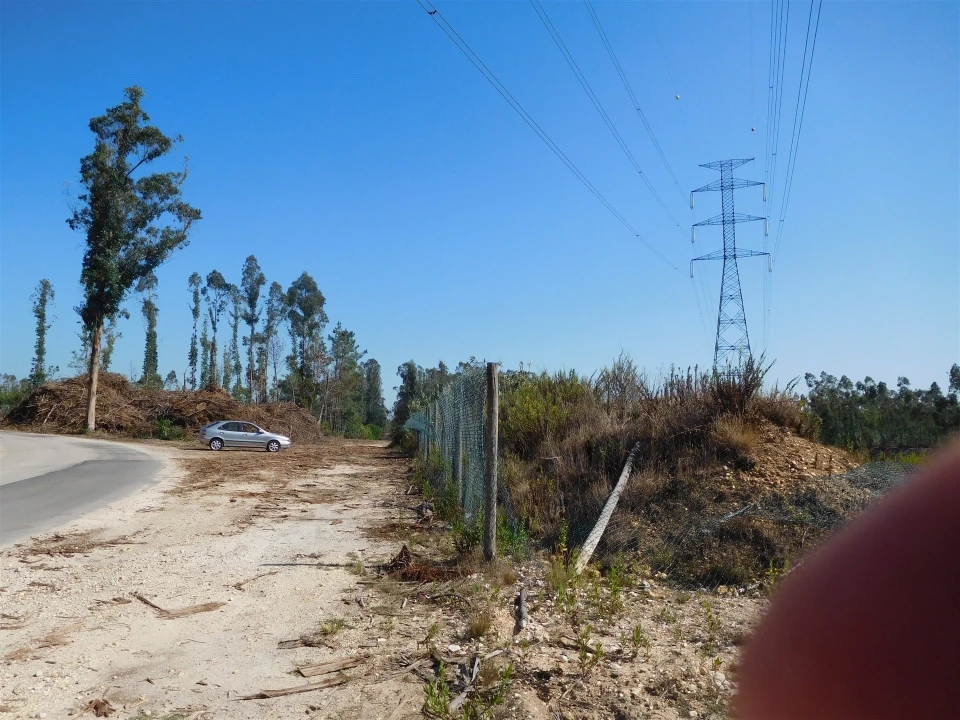 Terreno para Venda em Souto da Carpalhosa e Ortigosa Foto 2