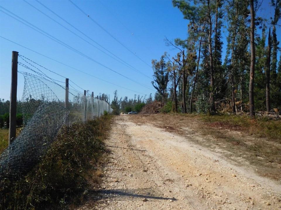 Terreno para Venda em Souto da Carpalhosa e Ortigosa Foto 9