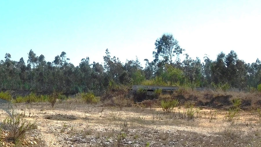 Terreno para Venda em Souto da Carpalhosa e Ortigosa