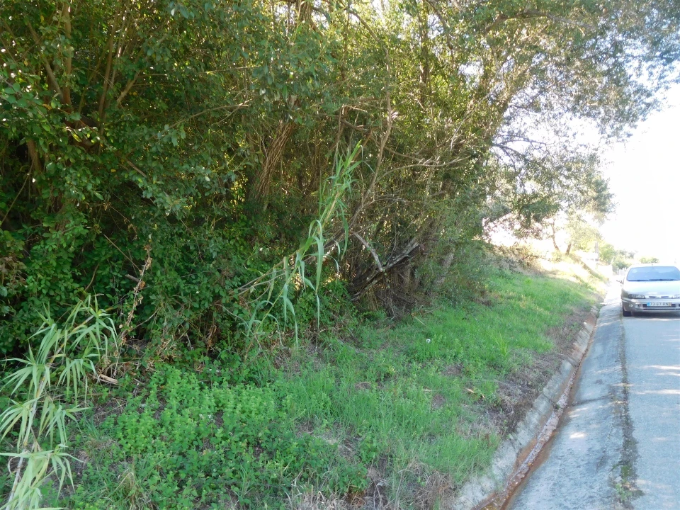 Terreno para Venda em Carnide Foto 3