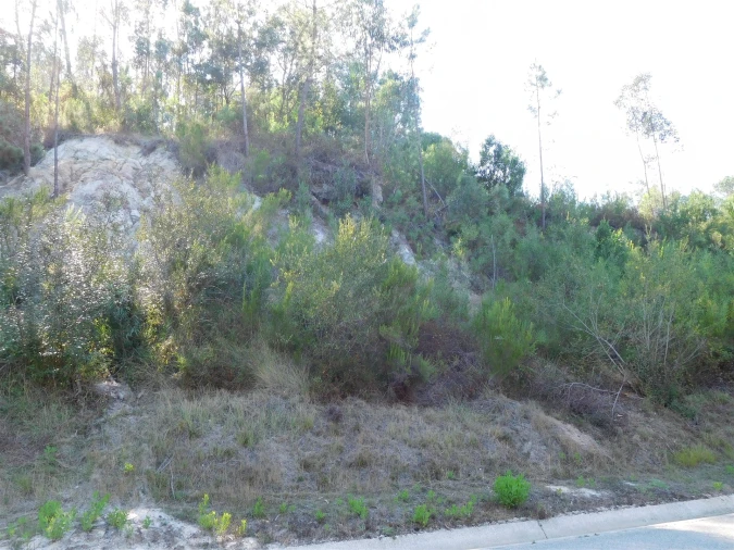 Terreno para Venda em Carnide Foto 4