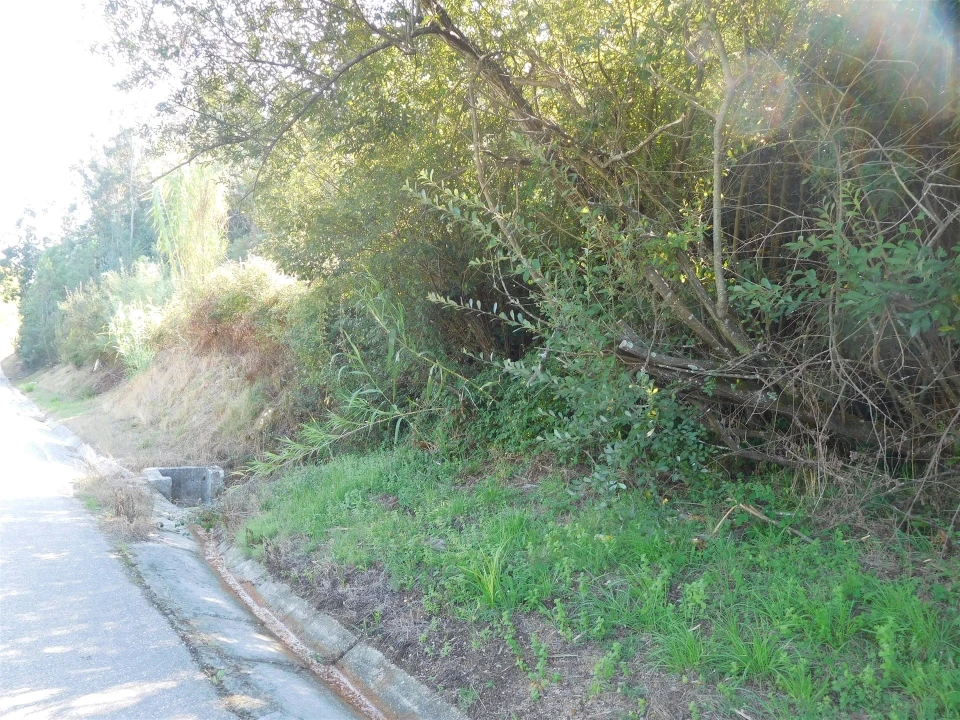 Terreno para Venda em Carnide Foto 1