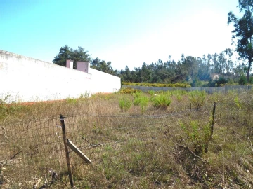Terreno para Venda em Monte Real e Carvide