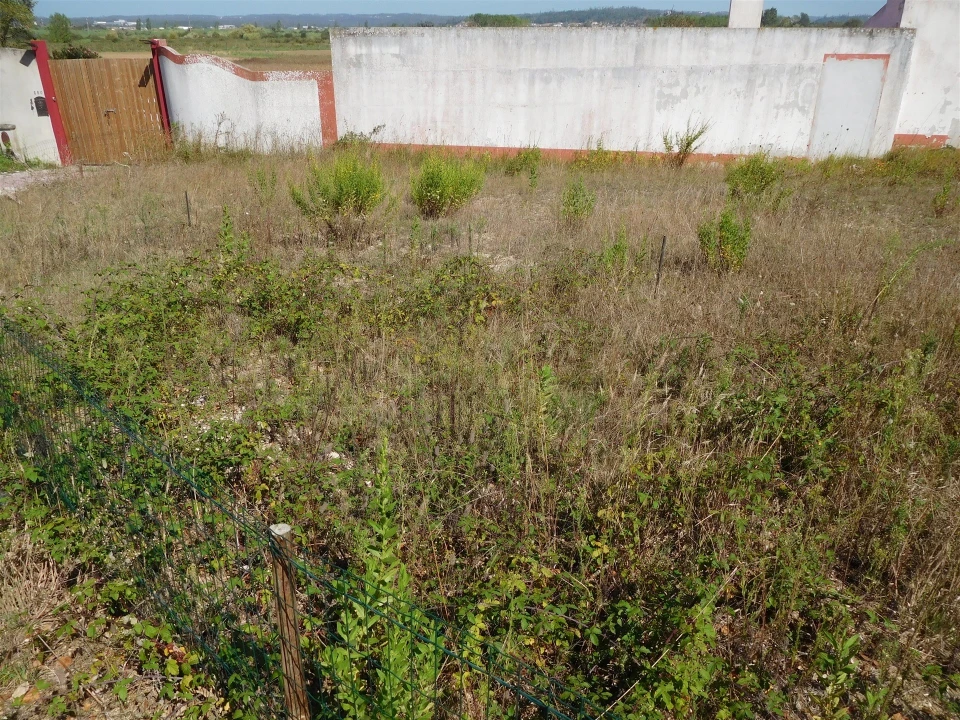 Terreno para Venda em Monte Real e Carvide Foto 7