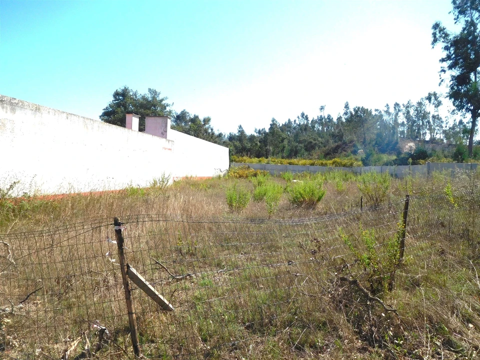 Terreno para Venda em Monte Real e Carvide Foto 1