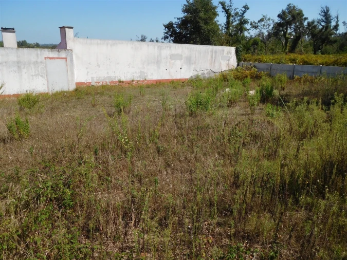 Terreno para Venda em Monte Real e Carvide Foto 6
