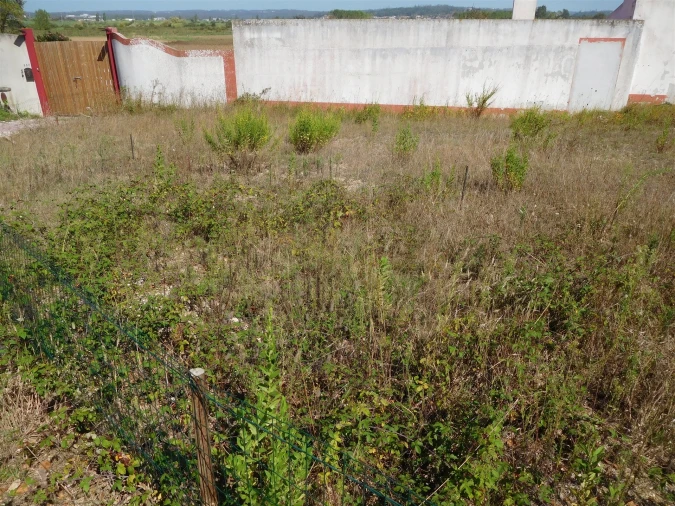 Terreno para Venda em Monte Real e Carvide Foto 7