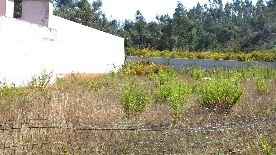Terreno para Venda em Monte Real e Carvide