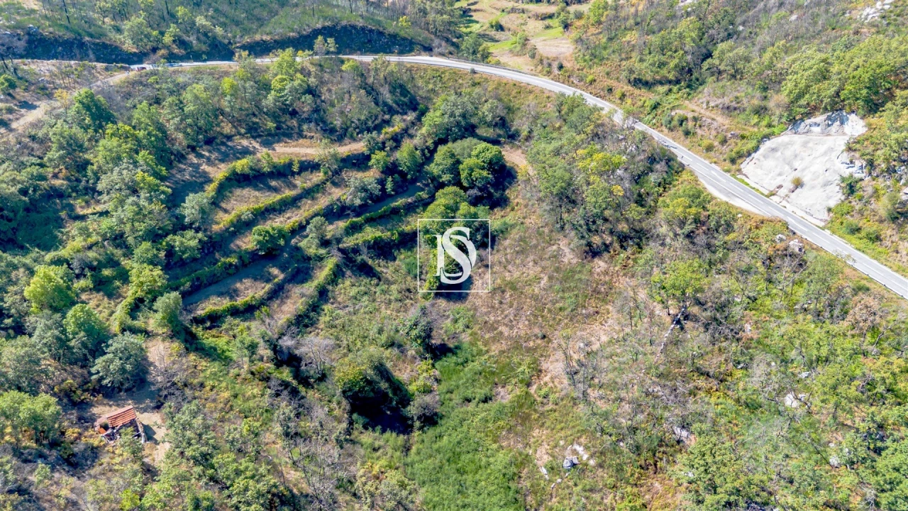 Terreno Agricola ou Rústico para Venda em Bustelo, Carneiro e Carvalho de Rei Foto 34