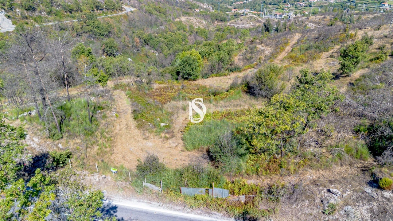 Terreno Agricola ou Rústico para Venda em Bustelo, Carneiro e Carvalho de Rei Foto 16