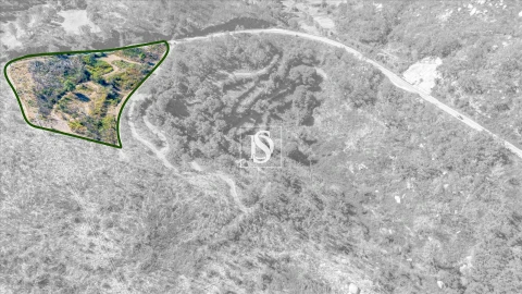 Terreno Agricola ou Rústico para Venda em Bustelo, Carneiro e Carvalho de Rei