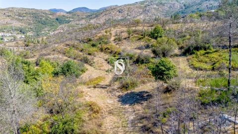 Terreno Agricola ou Rústico para Venda em Bustelo, Carneiro e Carvalho de Rei