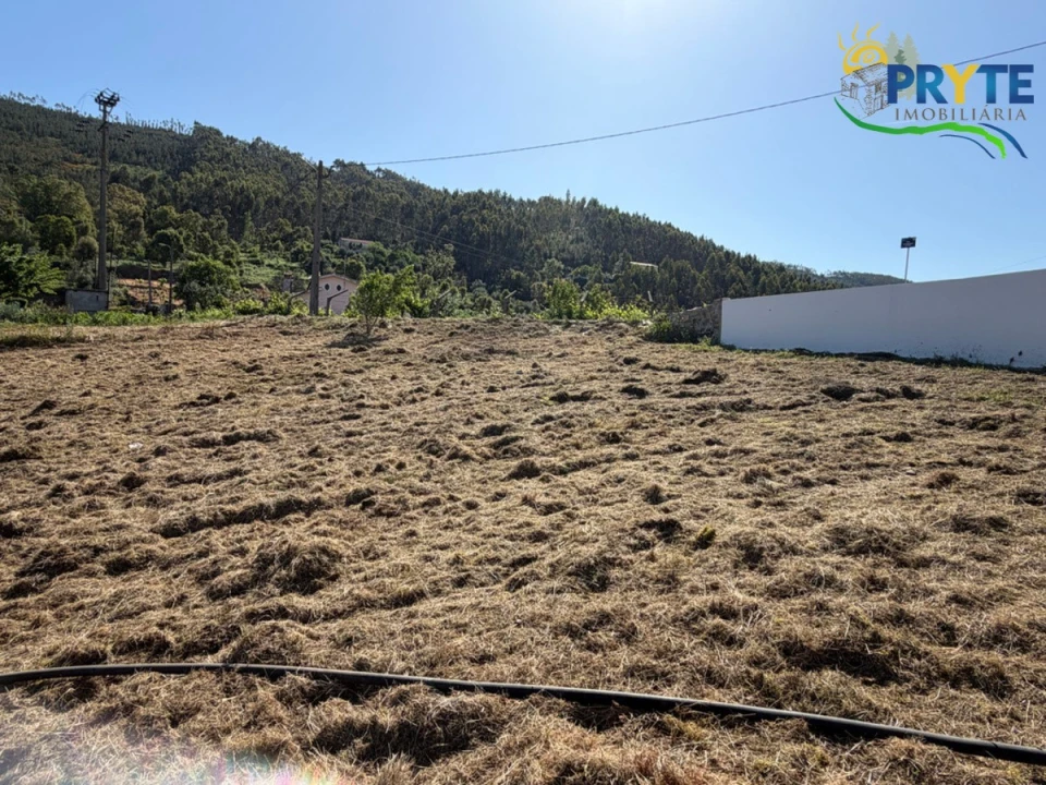 Moradia T3 para Venda em Cernache do Bonjardim, Nesperal e Palhais Foto 44
