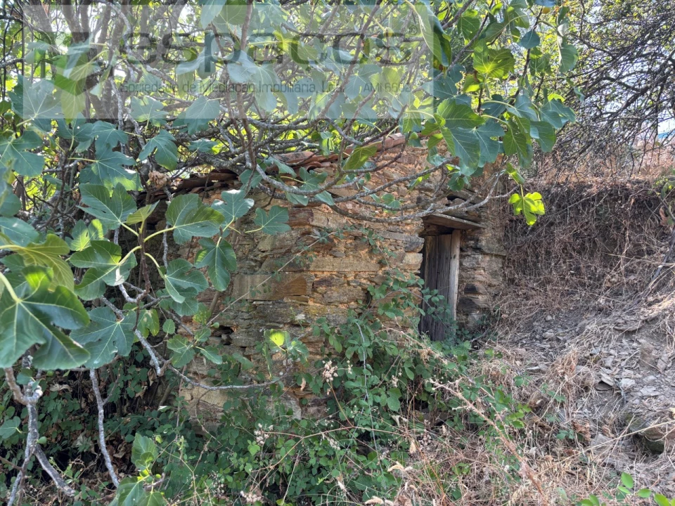 Moradia T1 para Venda em Vila Velha de Rodão Foto 20