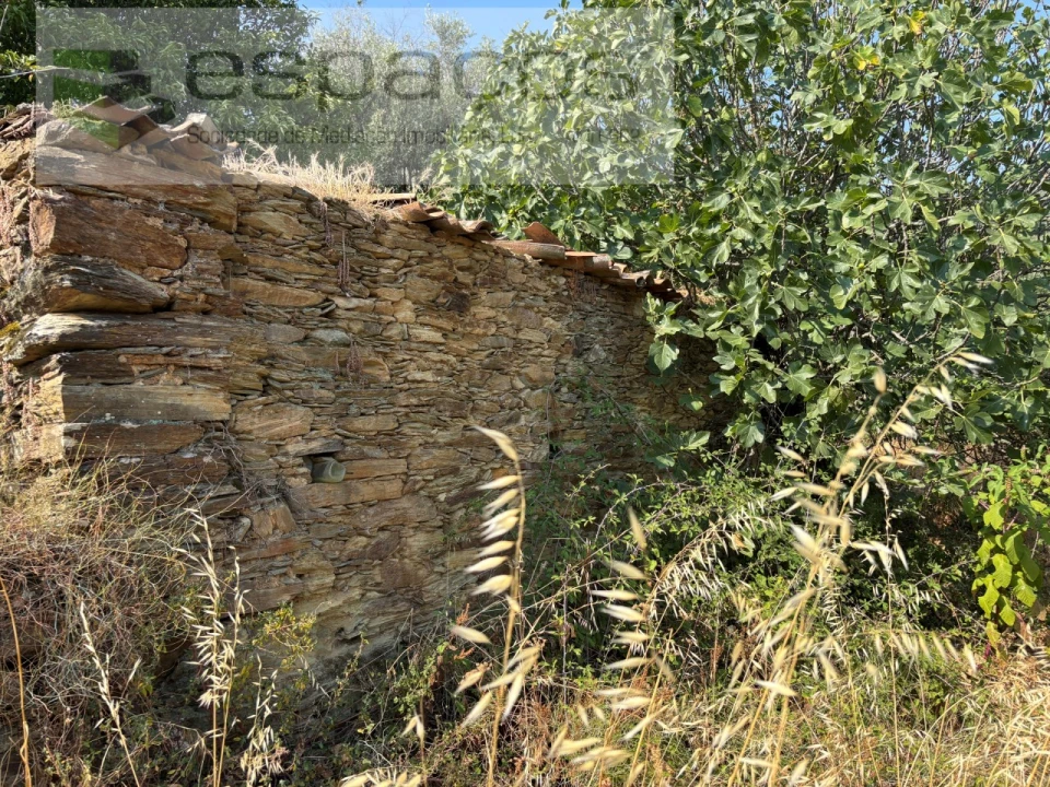 Moradia T1 para Venda em Vila Velha de Rodão Foto 21