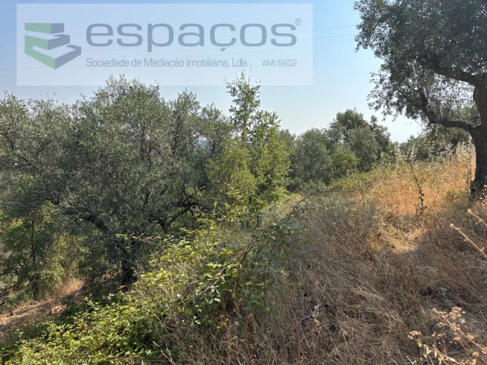 Moradia T1 para Venda em Vila Velha de Rodão Foto 22