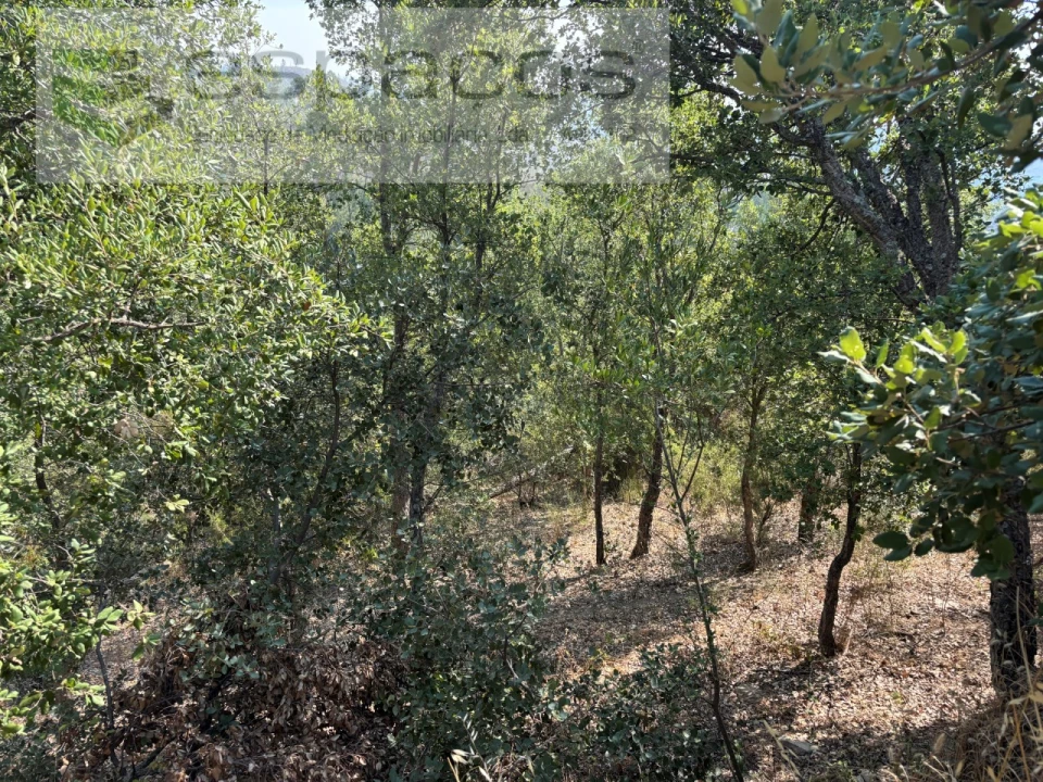 Moradia T1 para Venda em Vila Velha de Rodão Foto 23