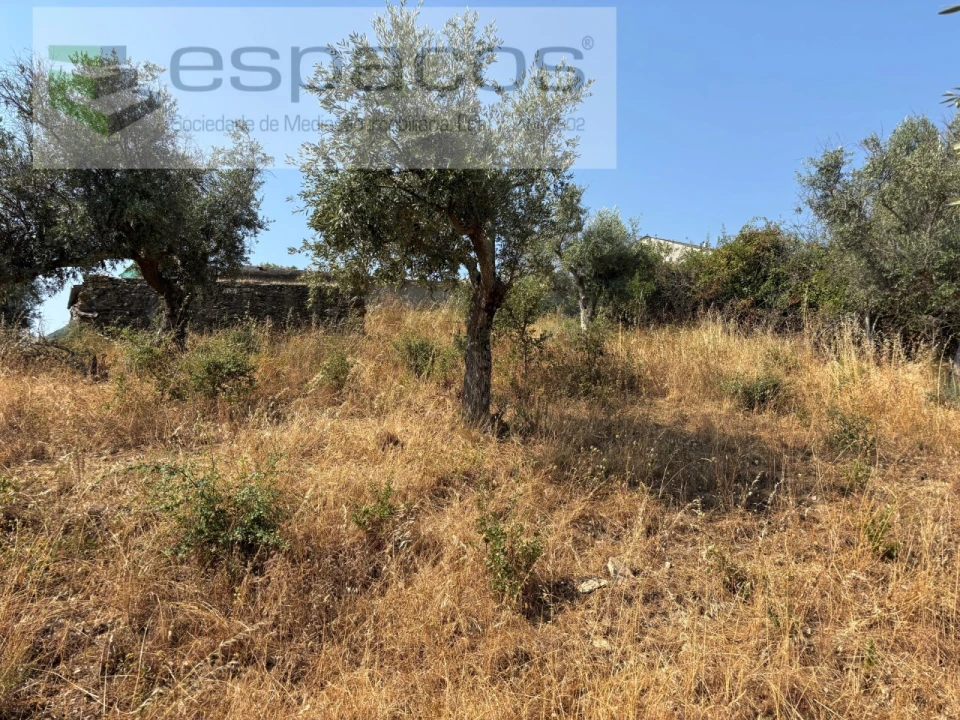 Moradia T1 para Venda em Vila Velha de Rodão Foto 25