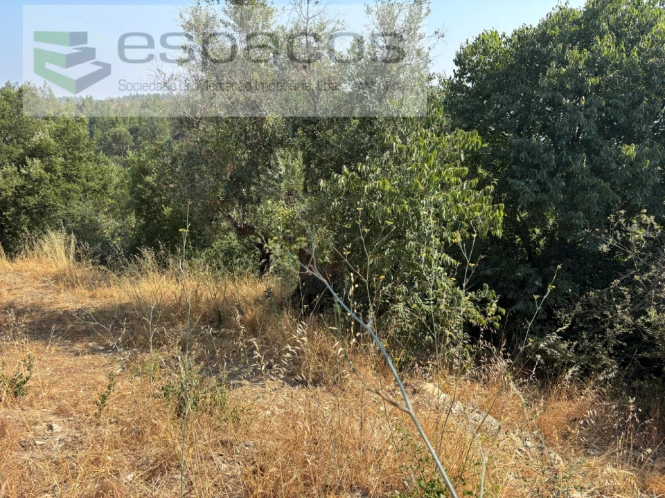 Moradia T1 para Venda em Vila Velha de Rodão Foto 26