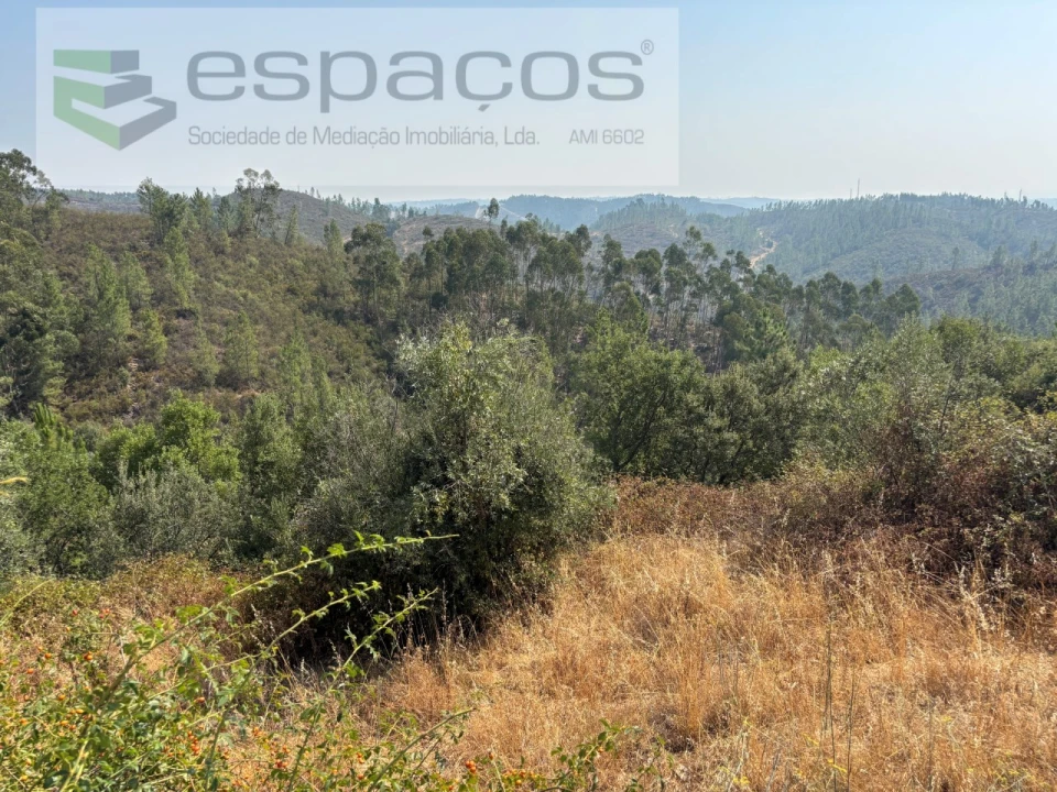 Moradia T1 para Venda em Vila Velha de Rodão Foto 30
