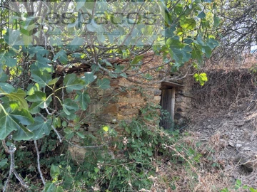 Moradia T1 para Venda em Vila Velha de Rodão
