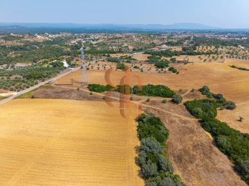 Terreno para Venda em Achete, Azoia de Baixo e Póvoa de Santarém
