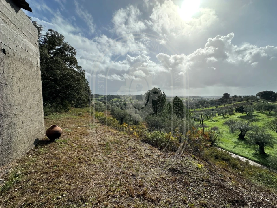 Terreno para Venda em Brogueira, Parceiros de Igreja e Alcorochel Foto 7