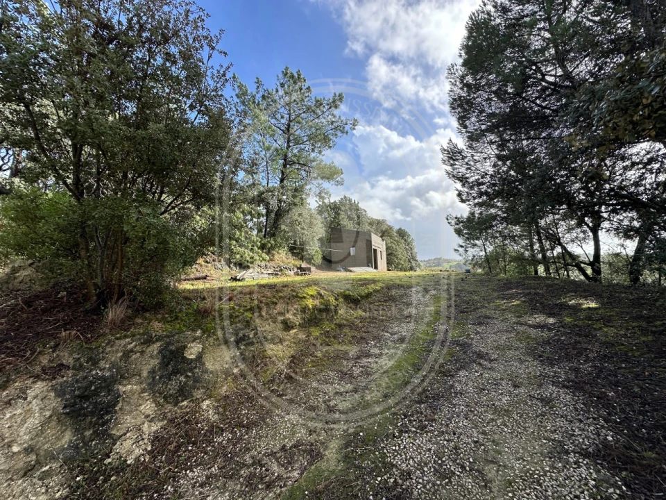 Terreno para Venda em Brogueira, Parceiros de Igreja e Alcorochel Foto 8