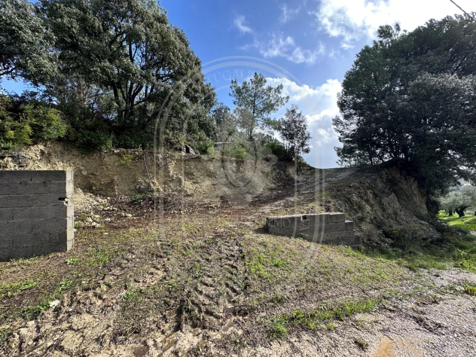 Terreno para Venda em Brogueira, Parceiros de Igreja e Alcorochel Foto 10
