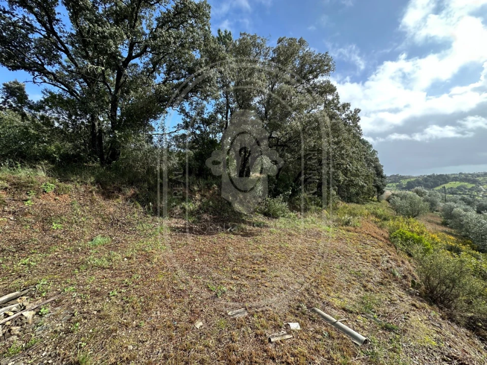 Terreno para Venda em Brogueira, Parceiros de Igreja e Alcorochel Foto 15