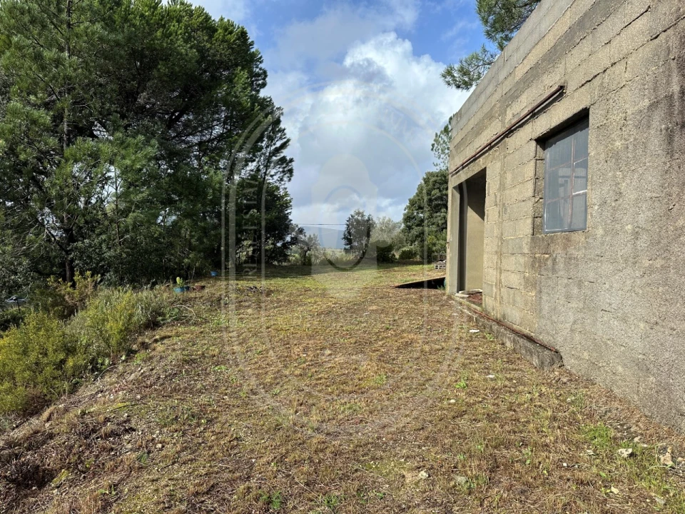 Terreno para Venda em Brogueira, Parceiros de Igreja e Alcorochel Foto 19